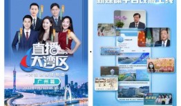 大湾区电视台爆料视频播放,热门视频播放背后的故事