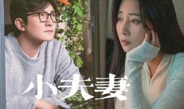 被爆料的夫妻是谁啊视频,被爆料的明星夫妻身份大揭秘